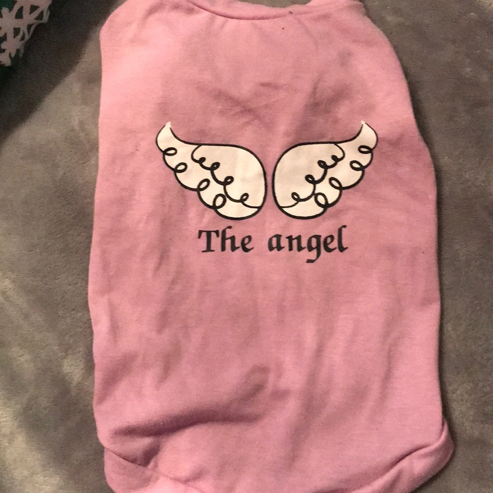 cutest tee for your lovable pup